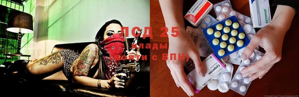 стаф Алексин