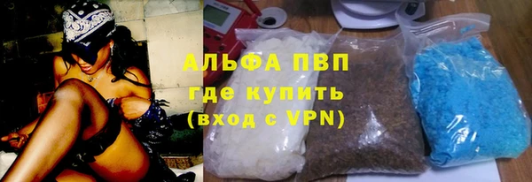 стаф Алексин