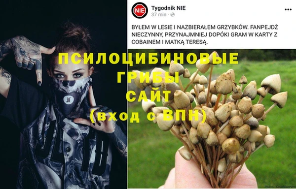 тгк Алзамай