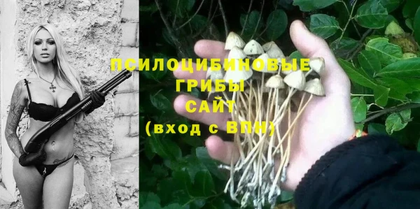 стаф Алексин